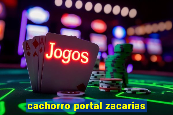 cachorro portal zacarias